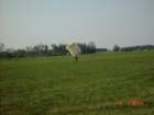 image_0021_small.jpg