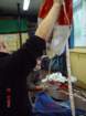 image_0006_small.jpg