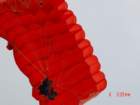 image_0035_small.jpg