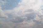 image_0040_small.jpg