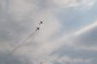 image_0041_small.jpg