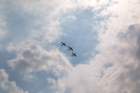 image_0047_small.jpg