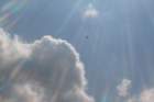 image_0024_small.jpg