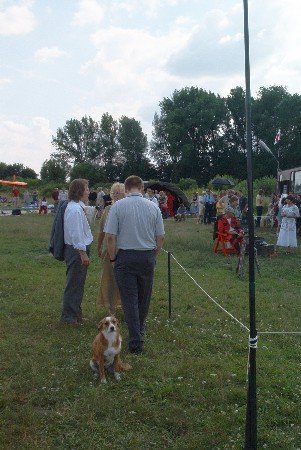 image_0040.jpg