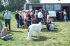 image_0050_small.jpg