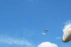 image_0056_small.jpg