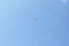 image_0001_small.jpg