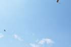 image_0003_small.jpg