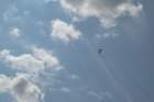 image_0005_small.jpg