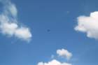 image_0006_small.jpg