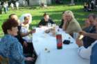 image_0050_small.jpg
