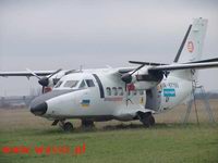 fot. W�siu