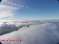 fot. W�siu