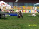 Photo Number 5