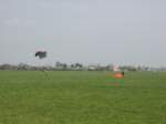 Photo Number 13