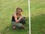 Photo Number 11