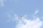 Photo Number 136