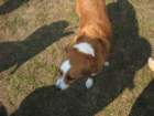 _4367_small.jpg