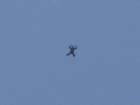 dsc03755a_small.jpg