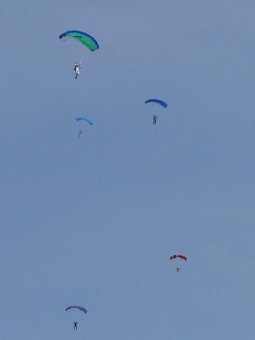 dsc03788a.jpg