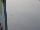 _5980_small.jpg