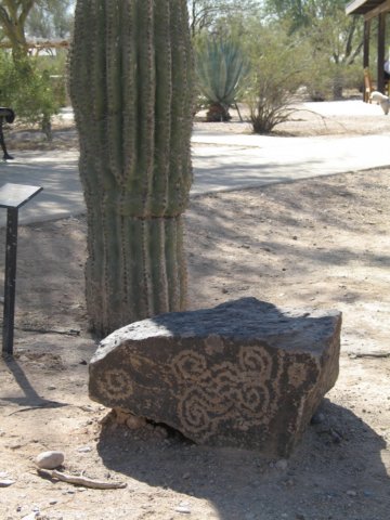 arizona2009.jpg
