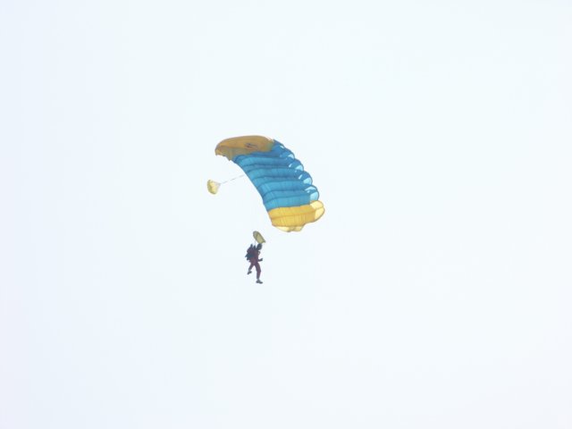pict0010.jpg