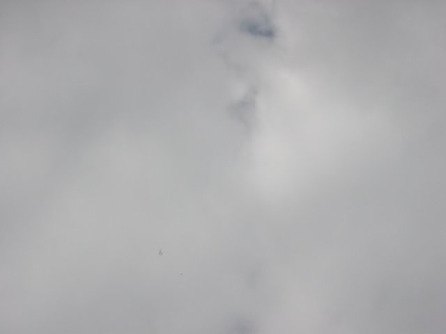 _7552.jpg
