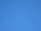 _7905_small.jpg