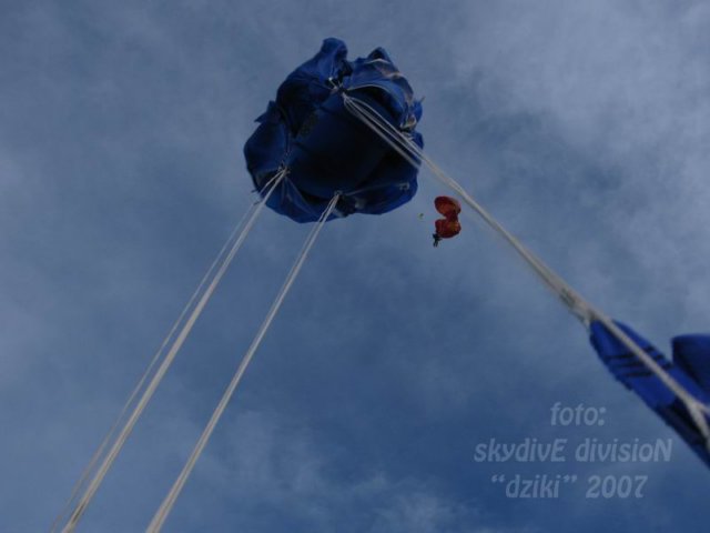 dziki2_04.jpg