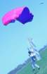 img_9286_small.jpg
