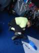 dsc00245_small.jpg