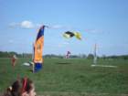 dsc00257_small.jpg