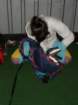 dsc00170_small.jpg