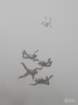 dsc_0187_small.jpg