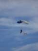dsc00482_small.jpg
