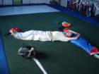 dsc00517_small.jpg