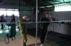 dsc00766_small.jpg