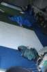 dsc00780_small.jpg