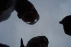 dsc00803_small.jpg
