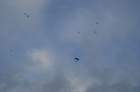 dsc00842_small.jpg