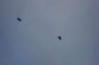dsc00845_small.jpg