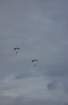 dsc00851_small.jpg