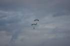 dsc00853_small.jpg