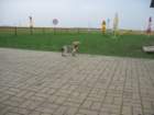 _8495_small.jpg