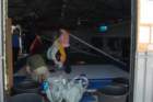 nora037_small.jpg