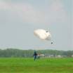 nora077_small.jpg