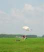 nora081_small.jpg