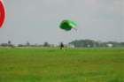 nora095_small.jpg