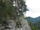_8790_small.jpg